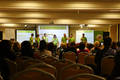 Sirikt2010-petek-5814.jpg